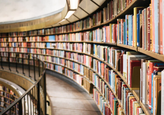 Education Paths to Consider for a Good Life