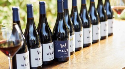 Culinary Experience by Walt Wines