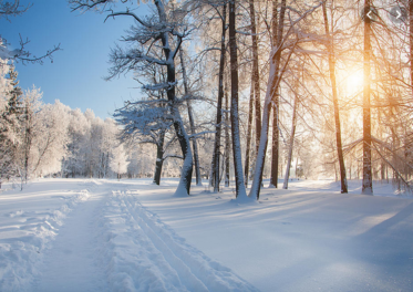 8 Fashion Trends That Will Have You Slaying Winter