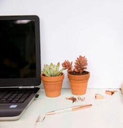 5 tips for Teleworking