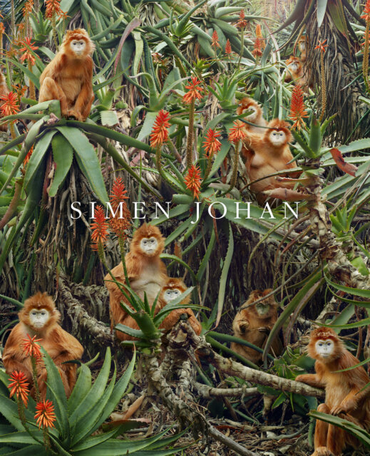 Simen Johan New Photography Book