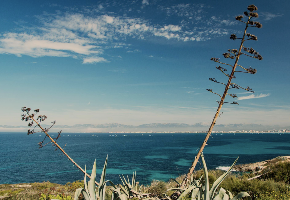 Screen Shot 2022-12-16 at 12.14.59 PM