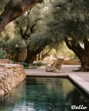 The South Of France Is Always A Good Idea