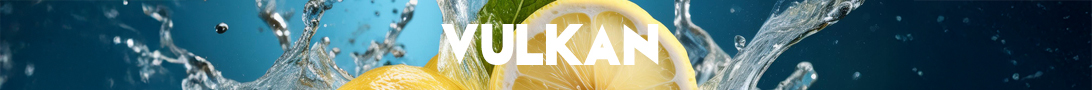 VULKANBanner02